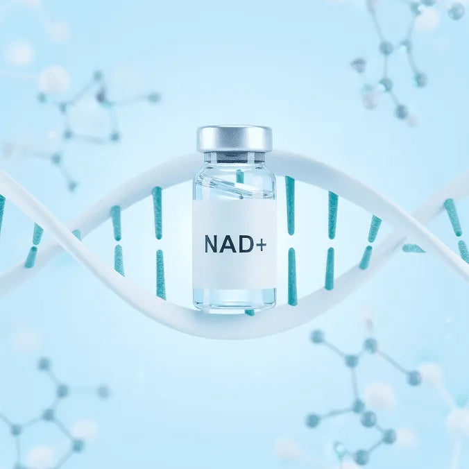 NAD+ for Research: Chemistry, Stability and Why Handling Matters