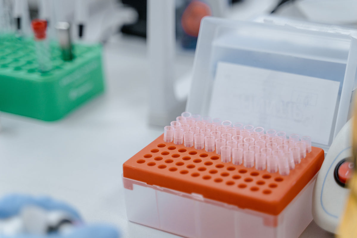 Peptide Storage and Stability: Why Peptides Are Lyophilised, How They Degrade, and How to Store Them